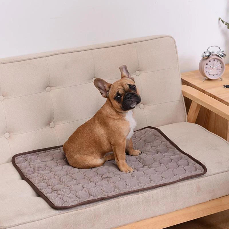 Extra Large Summer Pet Cold Mat