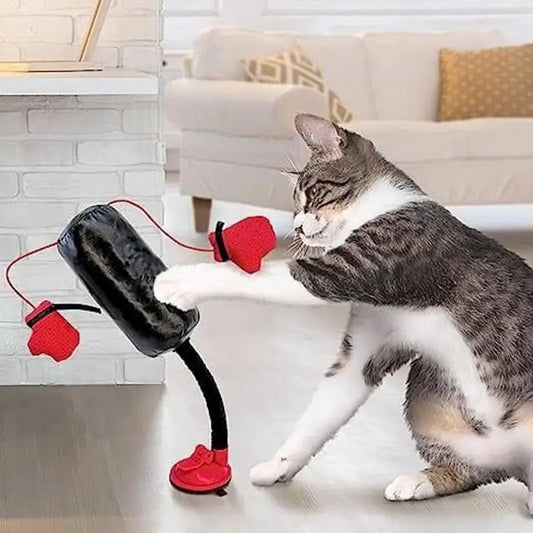 Innovative Cat Toy With Boxing Gloves