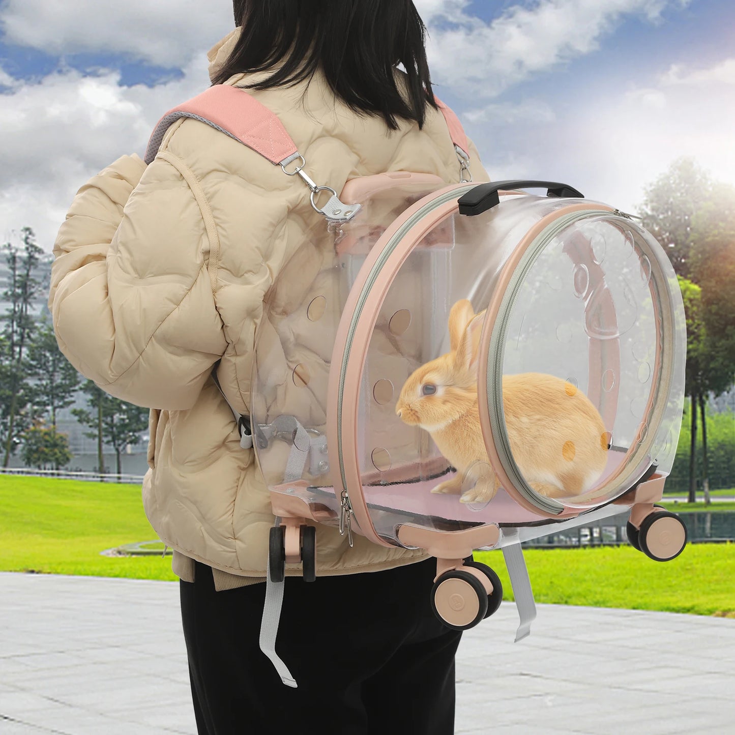 Waterproof Adjustable Cat Carrier With Rolling Wheels