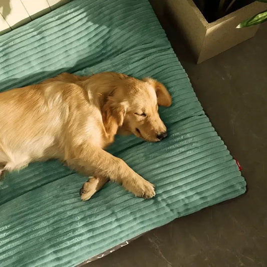 Dog Bed Machine Washable Non-Slip Bottom