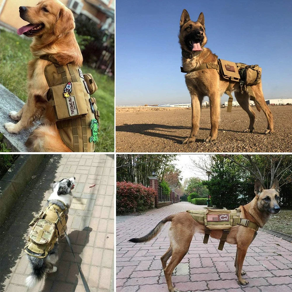 12 Dog Vest Harness Collar Personalized Patches
