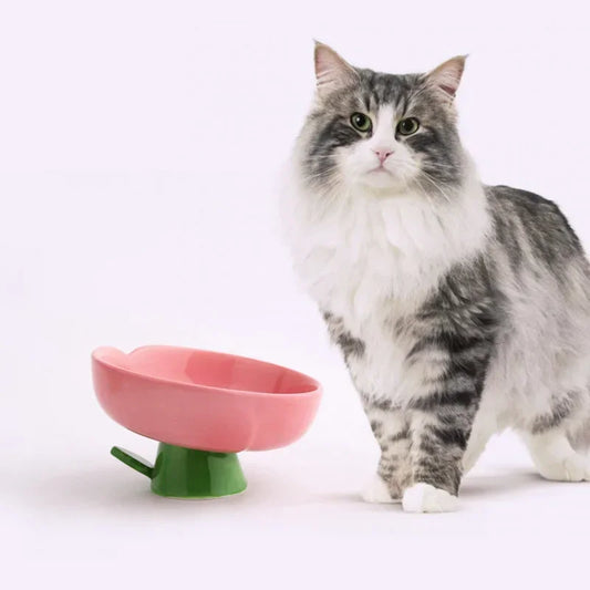 Raised Cat Ceramic Food Water Bowl
