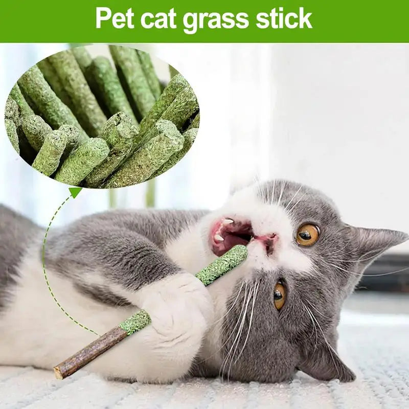 Natural Matatabi Cat Sticks