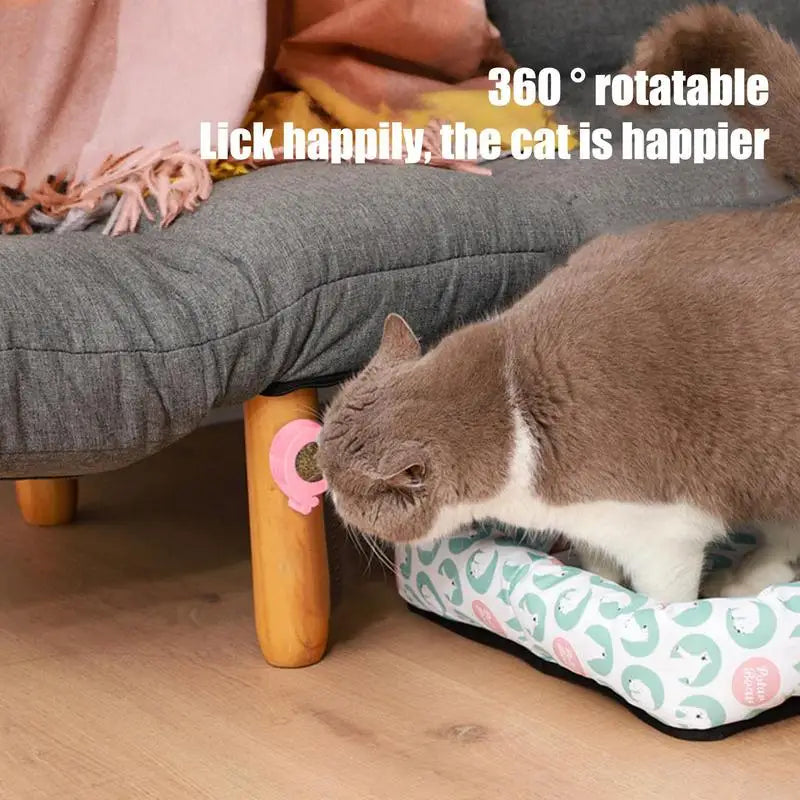 Catnip Balls Chew Toy Safe Healthy