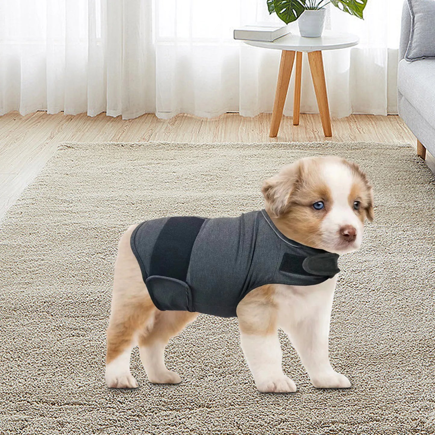 Breathable Dog Calming Anxiety Thunder Vest
