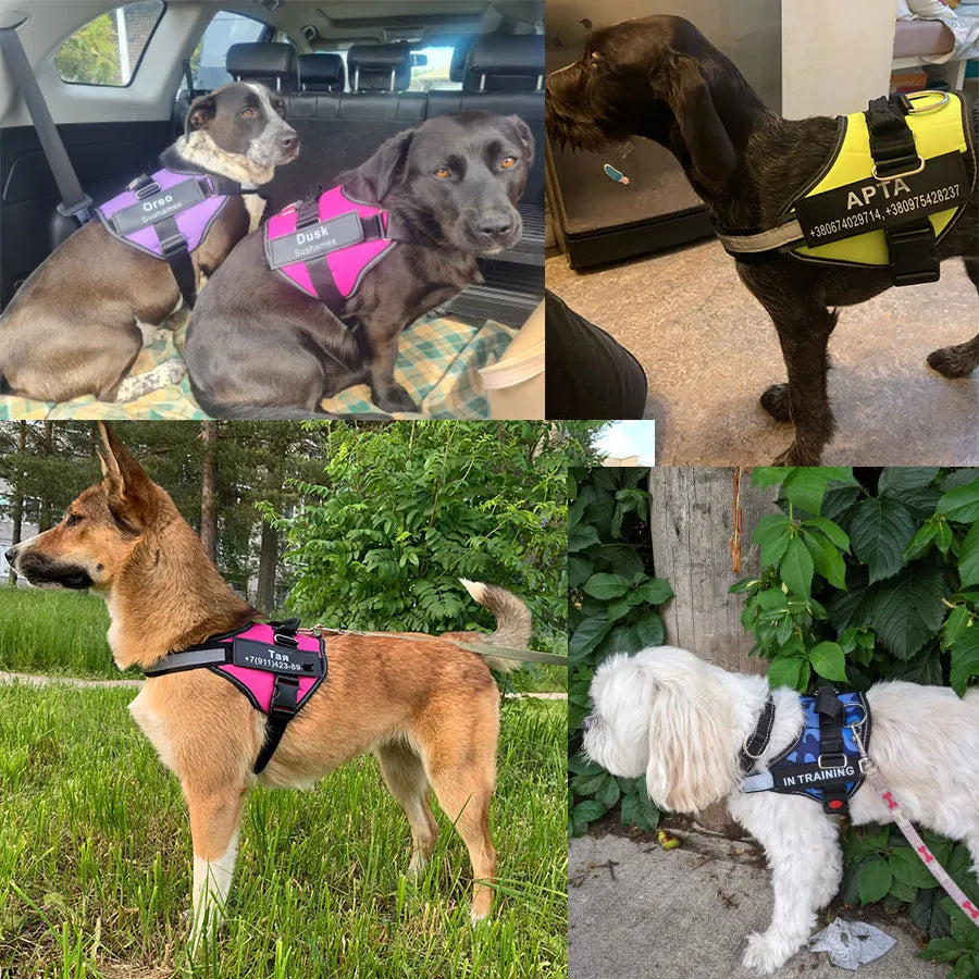 Personalized Dog Harness NO PULL Reflective Breathable