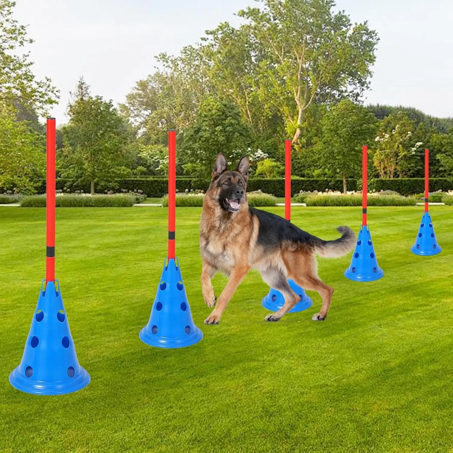 Dog Agility Course Backyard Set Training Equipment