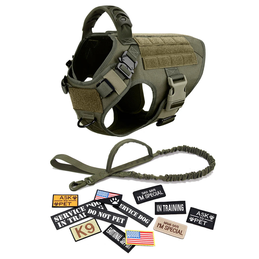 Large Dog Harness Collar Leash Bags Patches