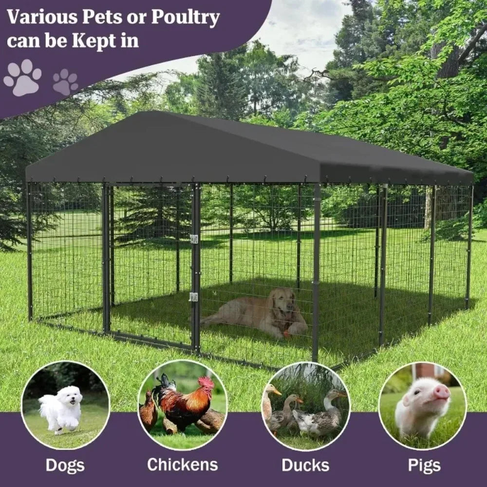 Large Outdoor Dog Kennel With Waterproof Roof