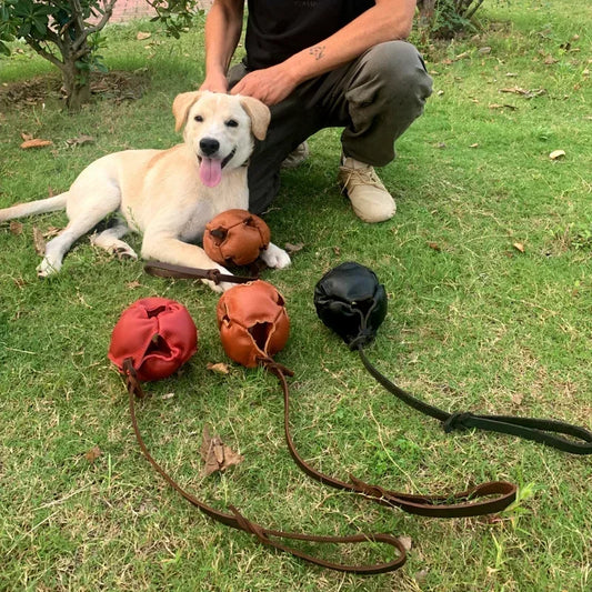 Leather Dog Tug Toy Training Ball