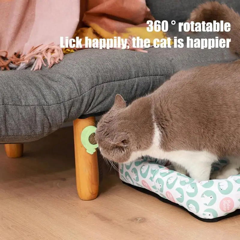 Catnip Balls Chew Toy Safe Healthy