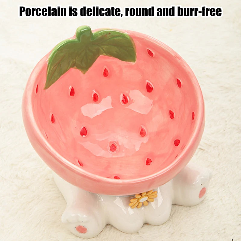 Ceramic Elevated Pet Food Water Bowls