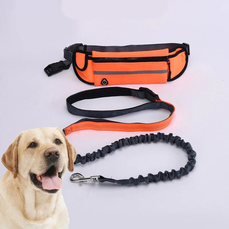 Hands Free Reflective Dog Leash