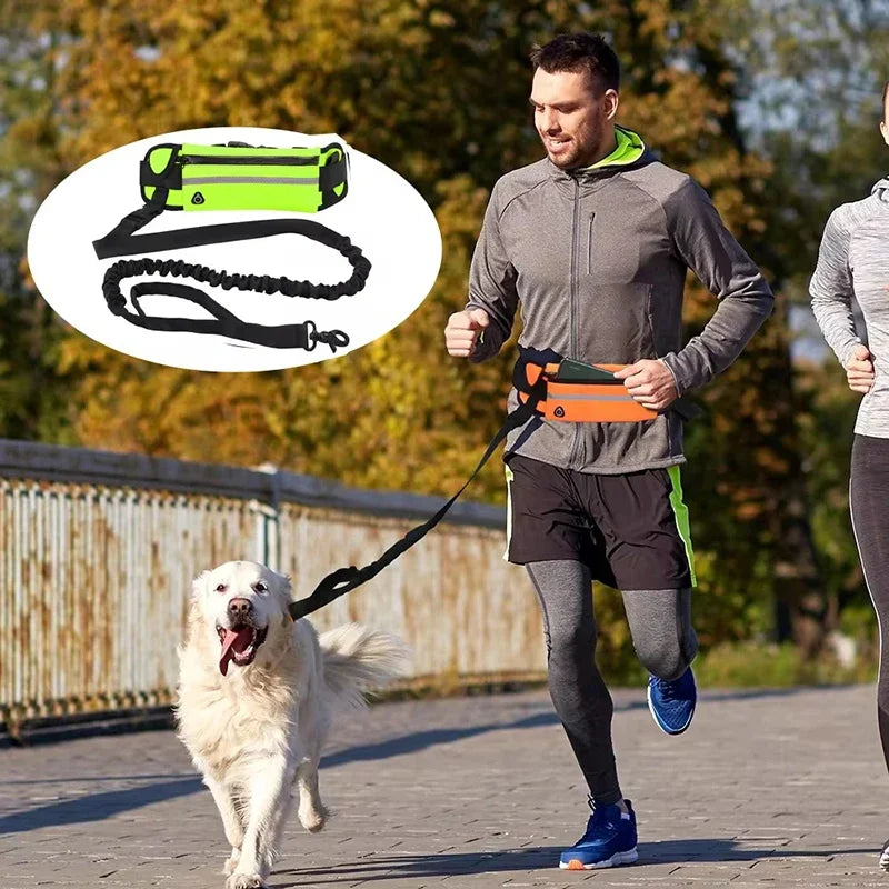 Hands Free Reflective Dog Leash
