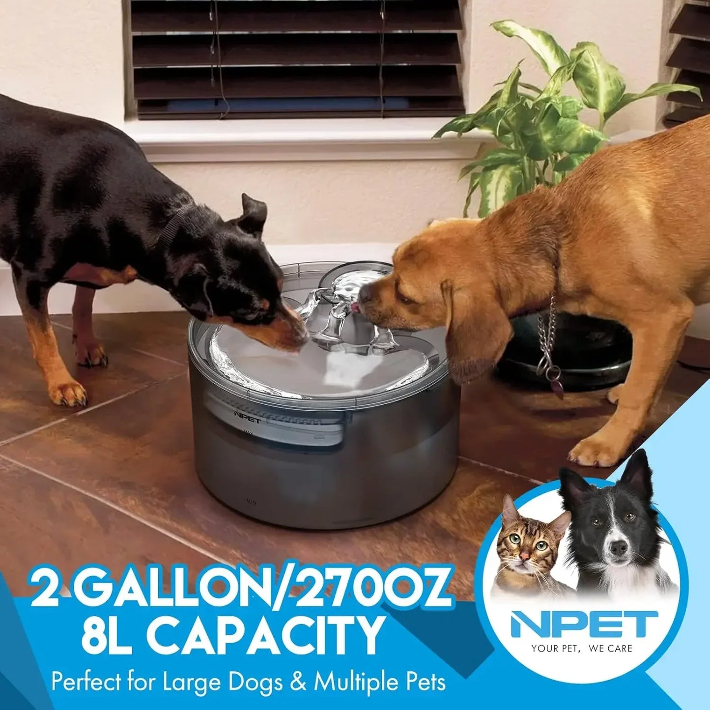 2 Gallon Large Automatic Dog Water Dispenser