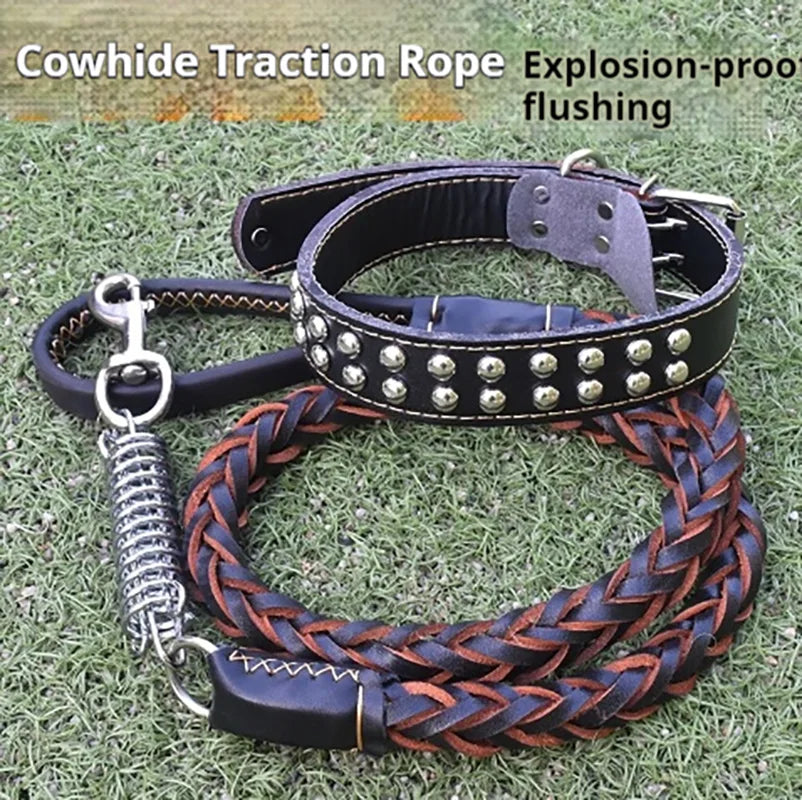 5-Foot Dog Leash With Cowhide Collar