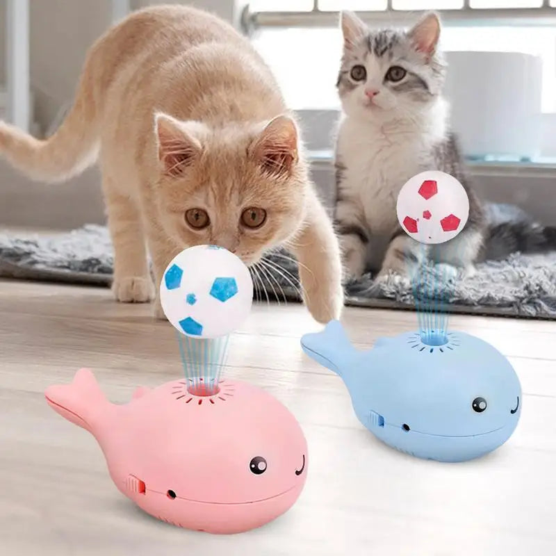 Whale Soccer Balls For Indoor Cats Electric