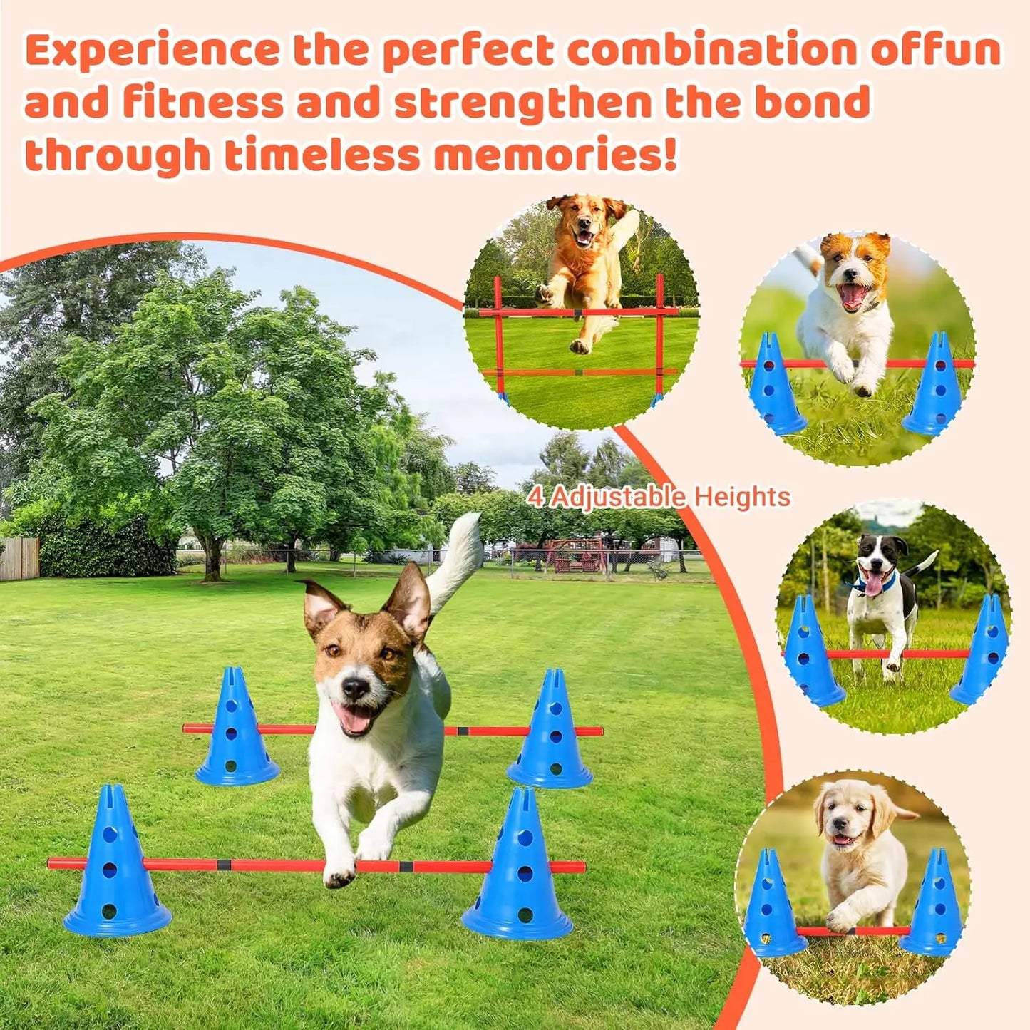 Dog Agility Course Backyard Set Training Equipment