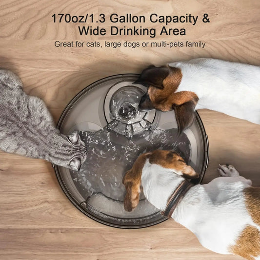 1.3 Gallon Pet Water Fountain