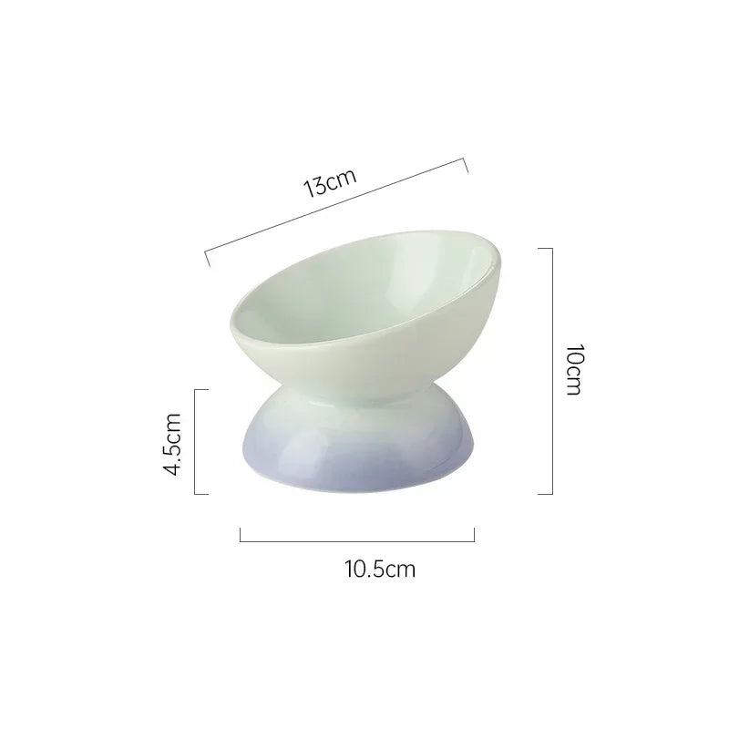 Raised Tilted Ceramic Pet Feeder Bowl