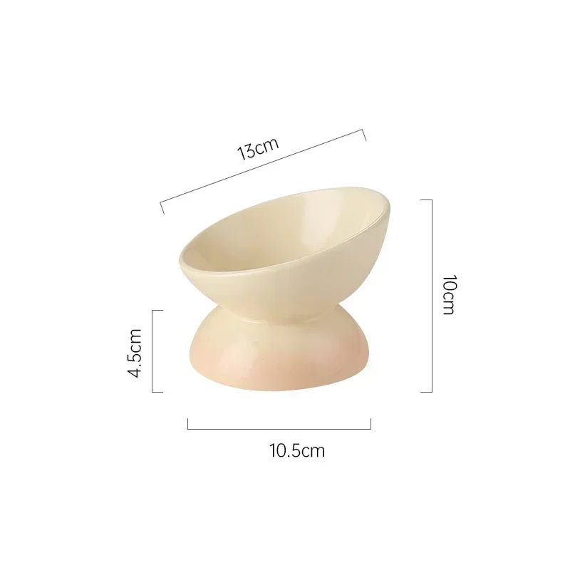 Raised Tilted Ceramic Pet Feeder Bowl