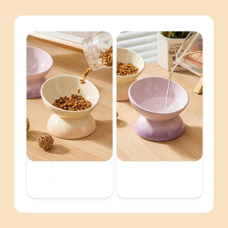 Raised Tilted Ceramic Pet Feeder Bowl