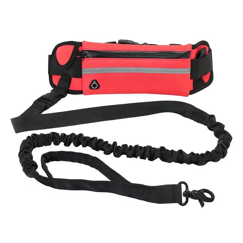 Hands Free Reflective Dog Leash