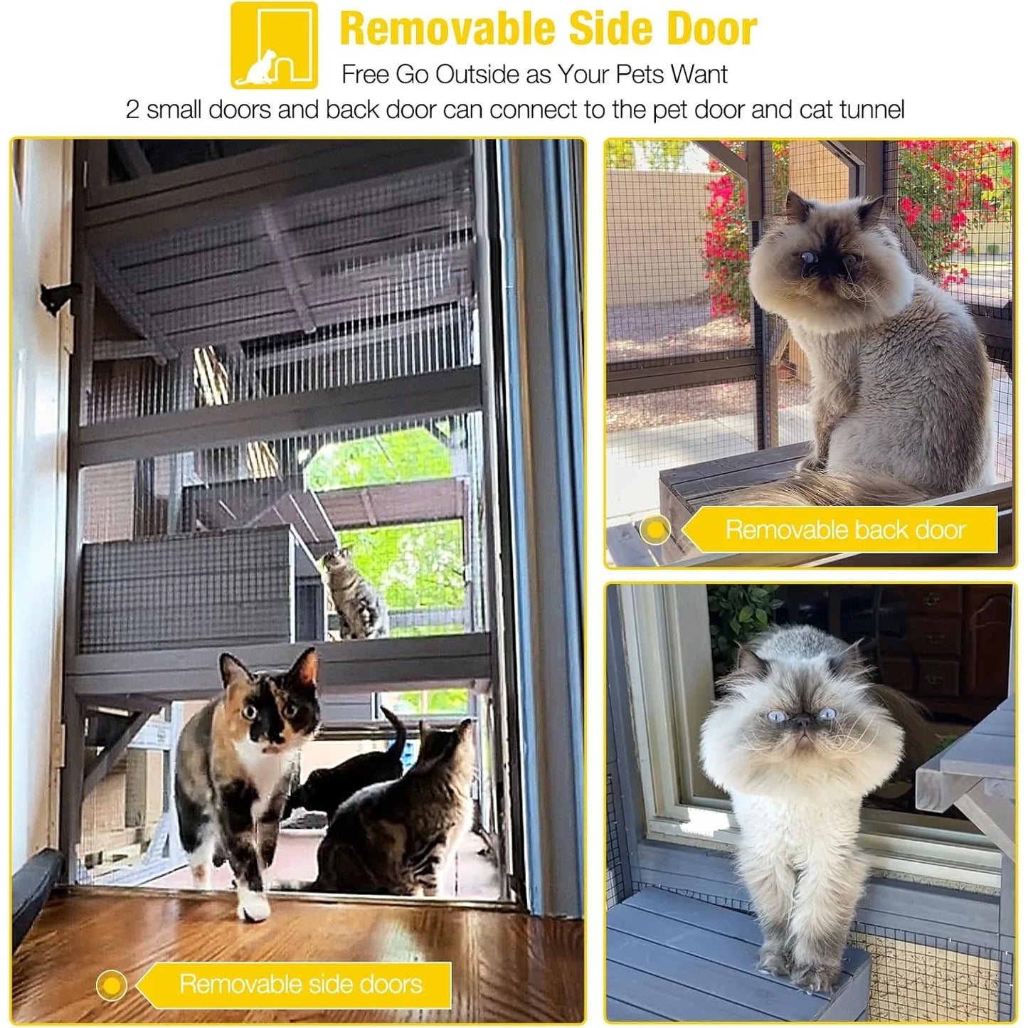 Outdoor Enclosure For Mulitiple Cats