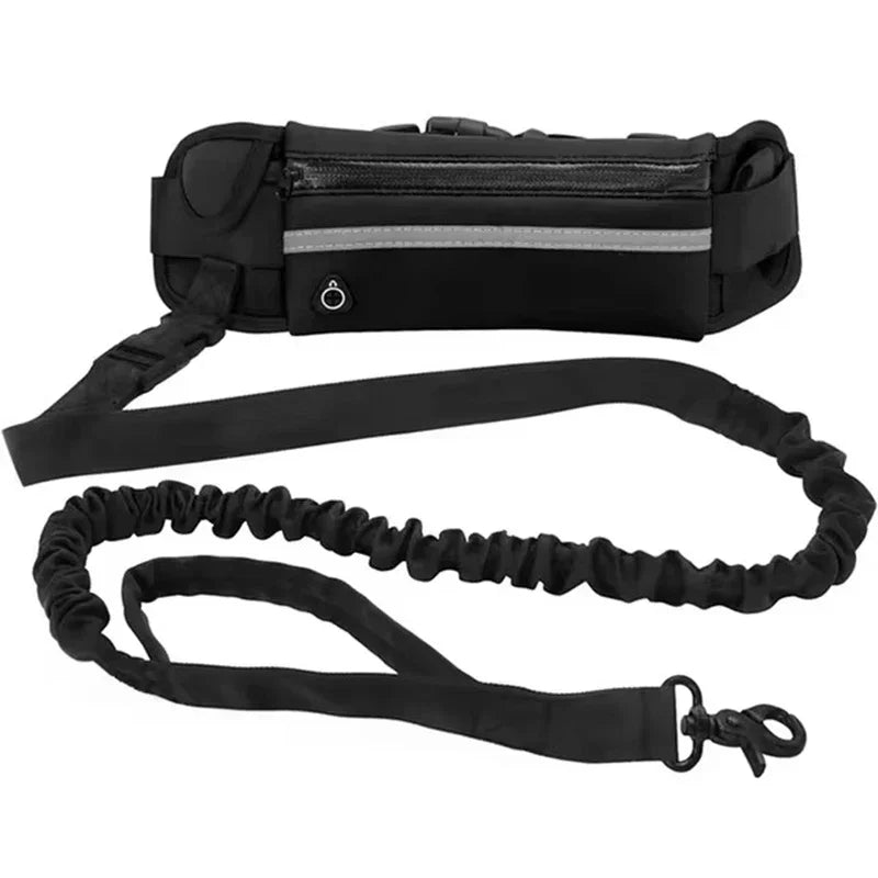 Hands Free Reflective Dog Leash