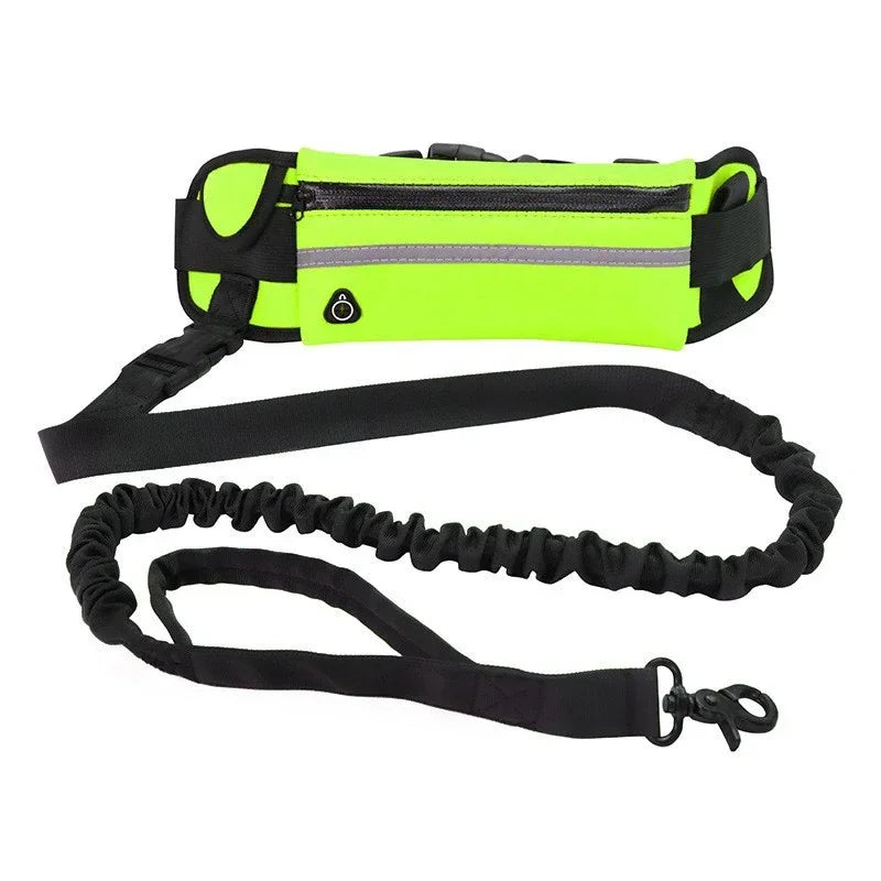 Hands Free Reflective Dog Leash