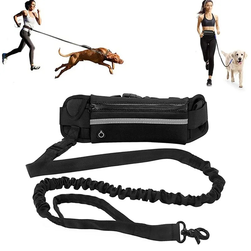 Hands Free Reflective Dog Leash