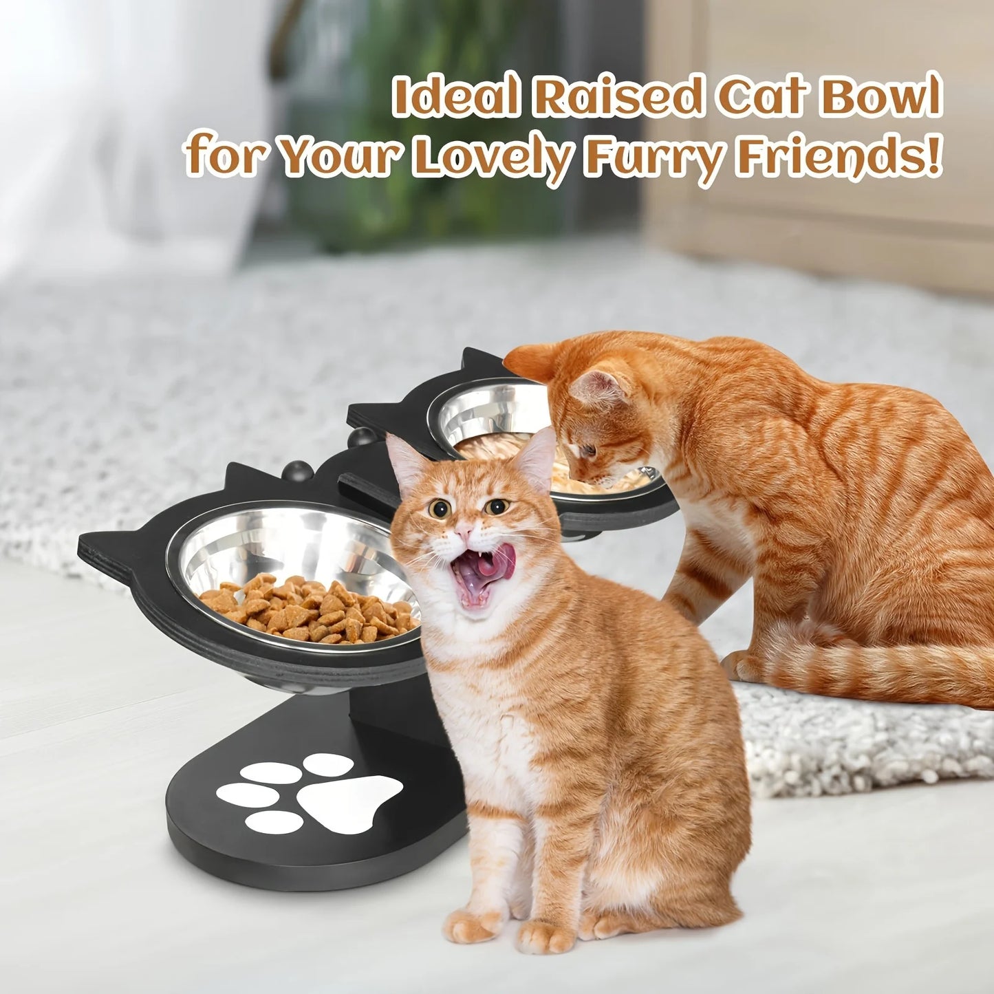 15-Degree Tilt Raised Cat Bowls