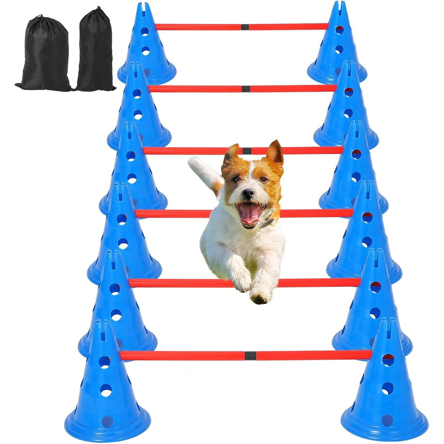 Dog Agility Course Backyard Set Training Equipment