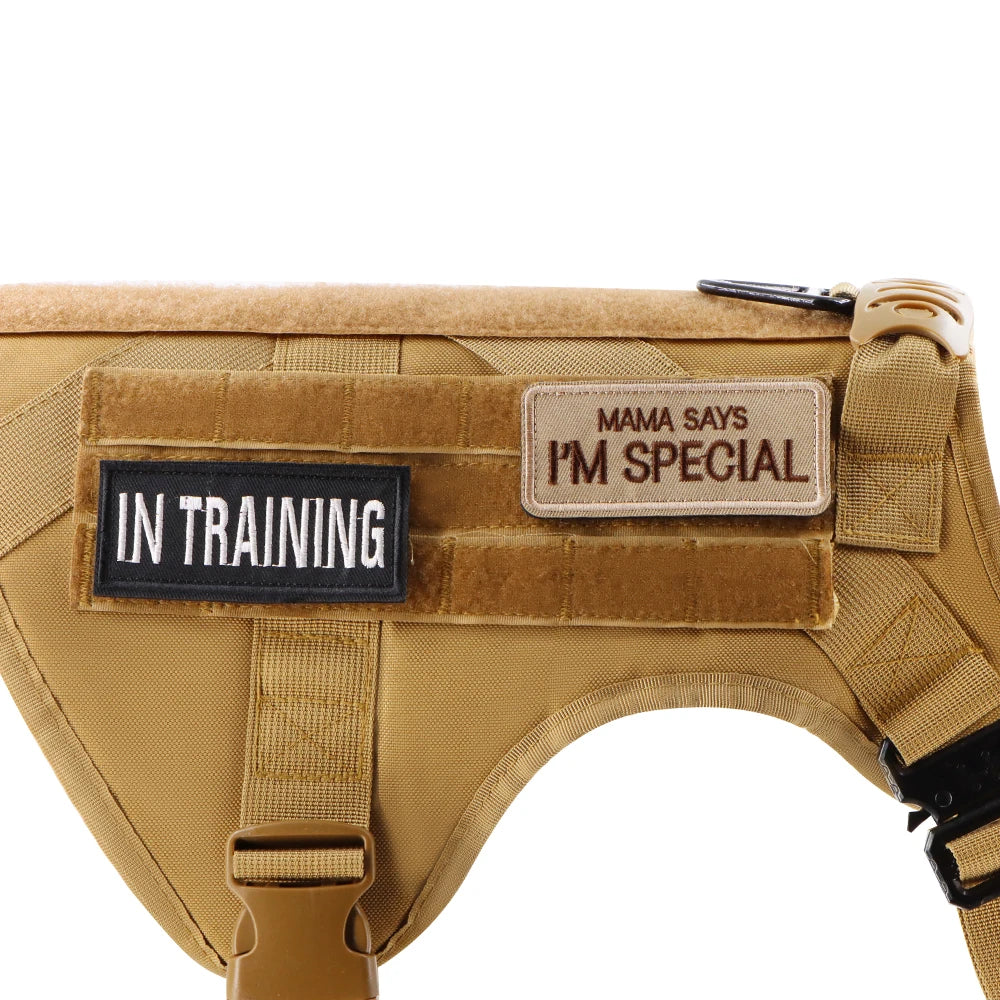 12 Dog Vest Harness Collar Personalized Patches