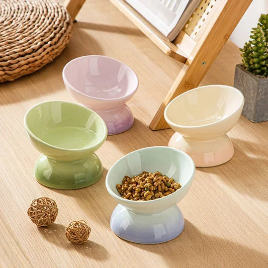 Raised Tilted Ceramic Pet Feeder Bowl