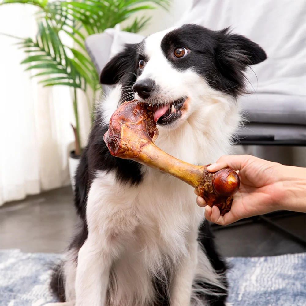 Large Cow Bone Healthy All Natural Ingredients