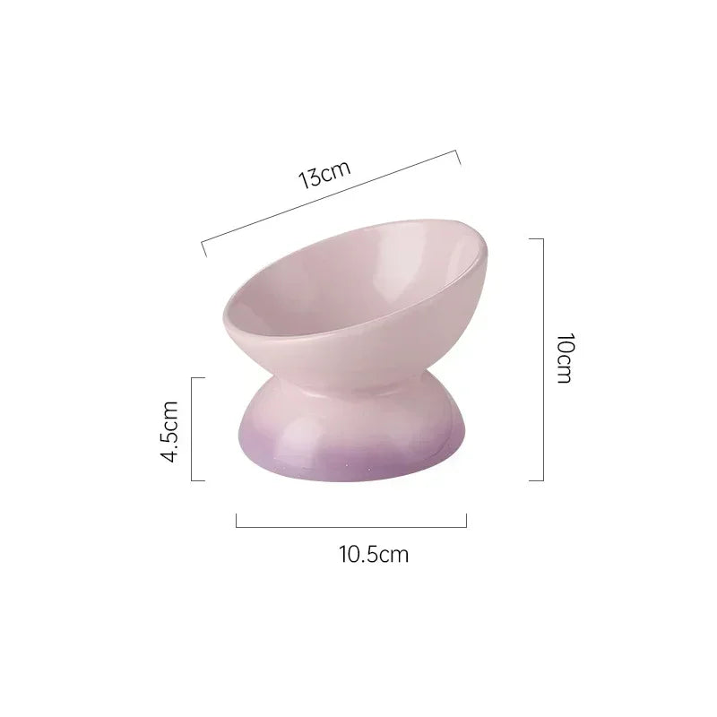 Raised Tilted Ceramic Pet Feeder Bowl