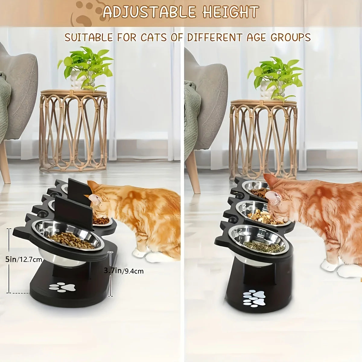 15-Degree Tilt Raised Cat Bowls