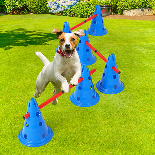 Dog Agility Course Backyard Set Training Equipment