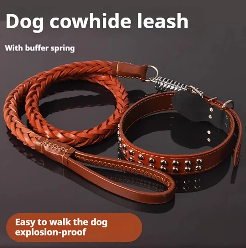 5-Foot Dog Leash With Cowhide Collar