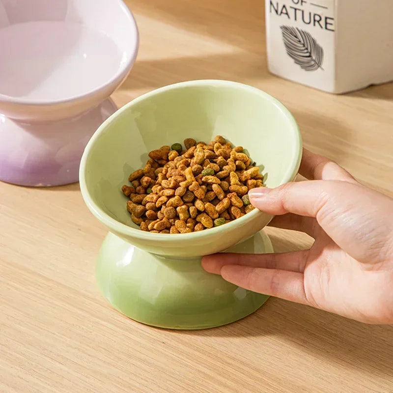 Raised Tilted Ceramic Pet Feeder Bowl