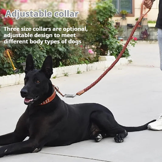 5-Foot Dog Leash With Cowhide Collar