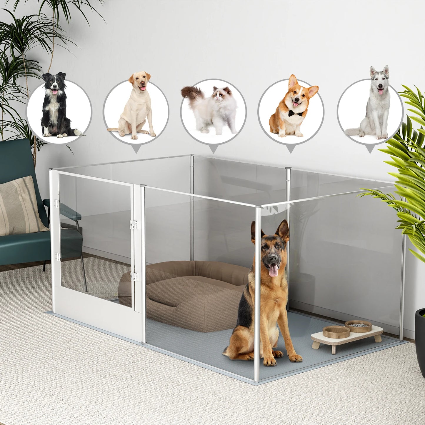 Clear Acrylic Dog Exercise Play Pen